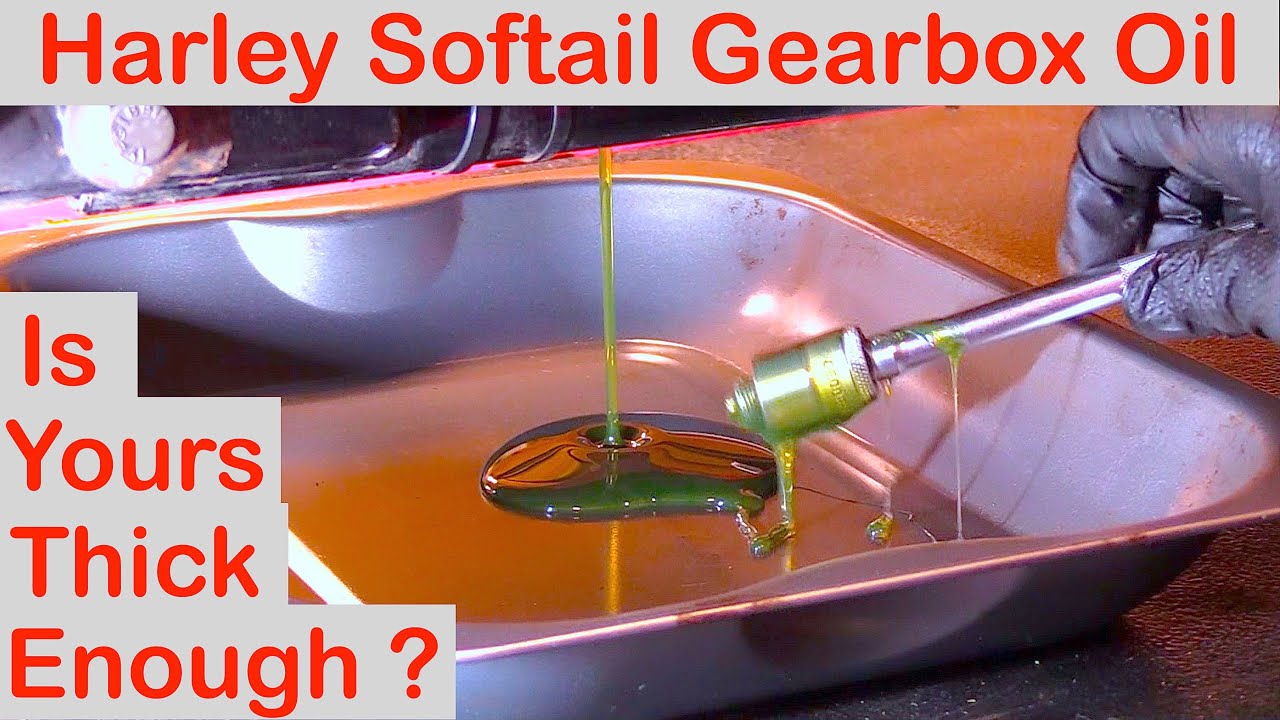 Harley Heritage Softail:-  Gearbox / Transmission Oil Change !