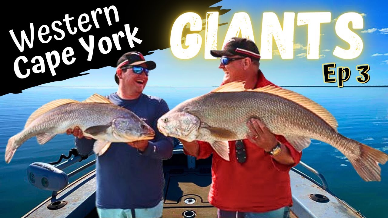 Rock Bar GIANTS - Western Cape York Barra