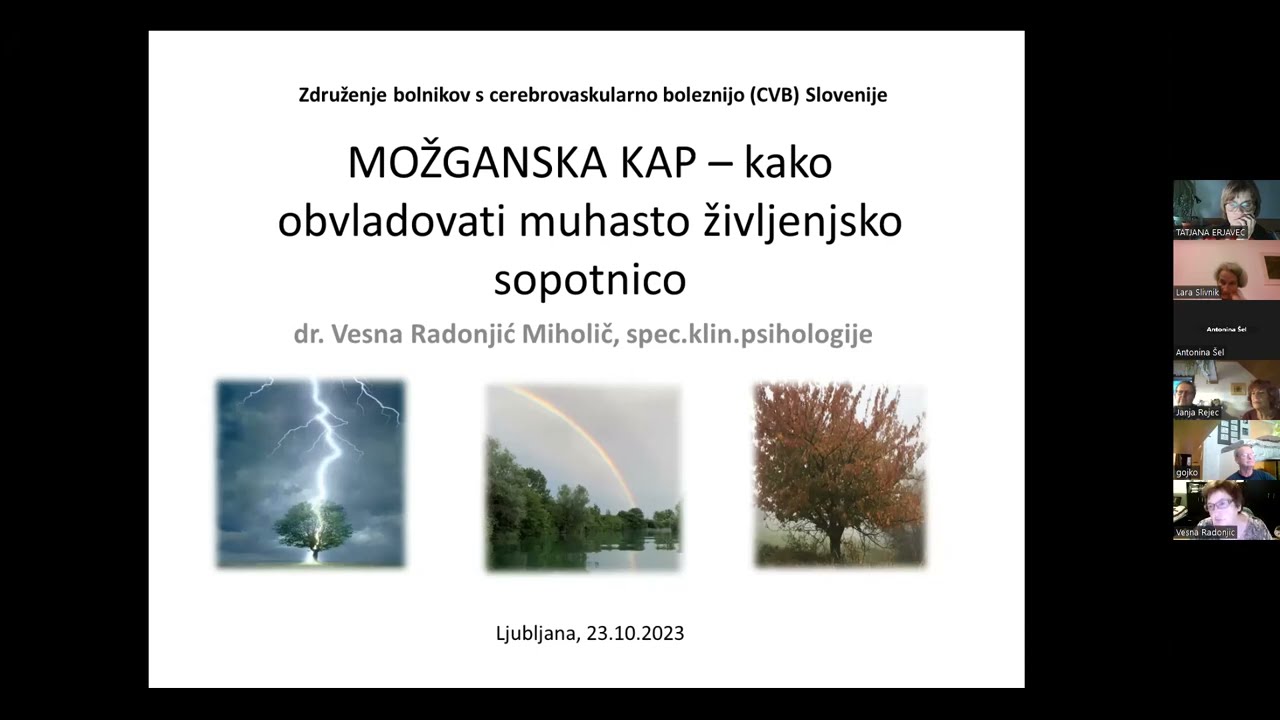 MOŽGANSKA KAP - KAKO OBVLADATI MUHASTO ŽIVLJENJSKO SOPOTNICO