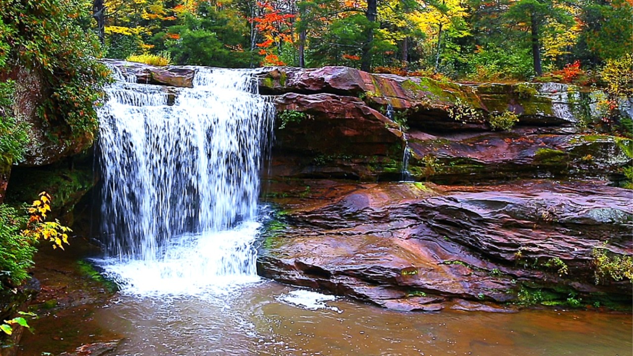 Autumn Forest Ambience – Waterfall and Nature Sounds
