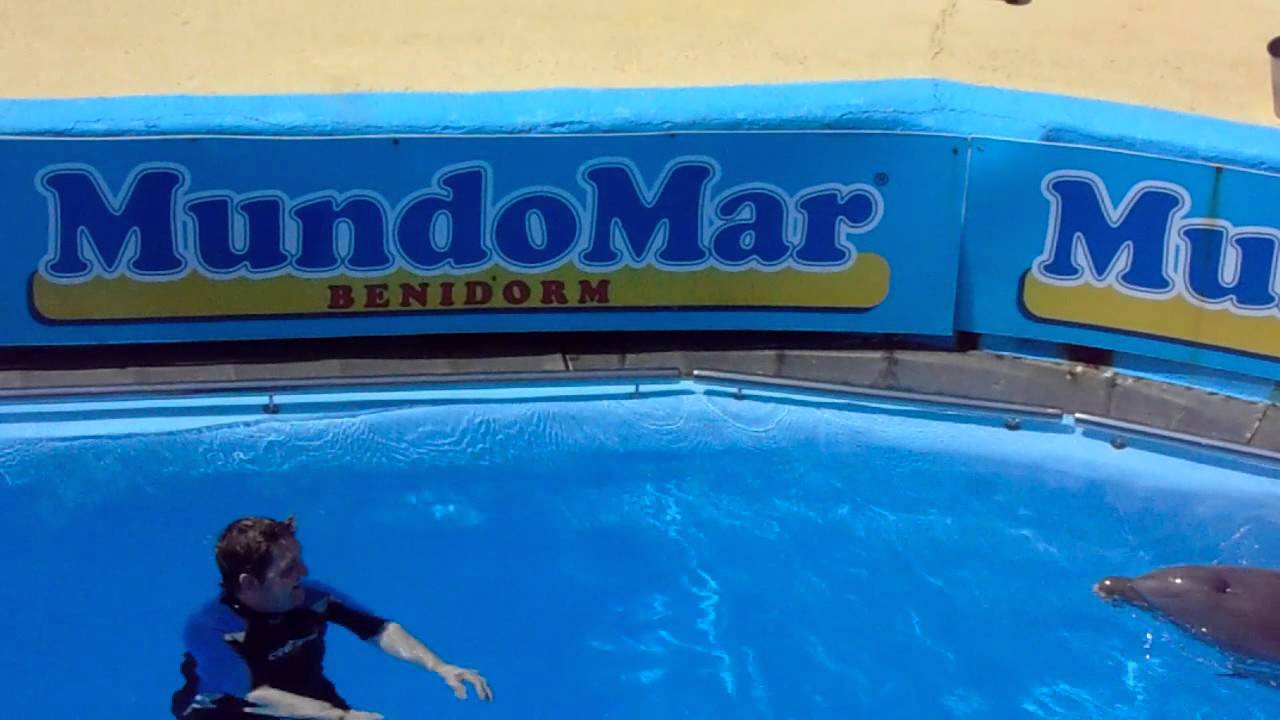 Mundomar Swimming with Dolphins Part 1