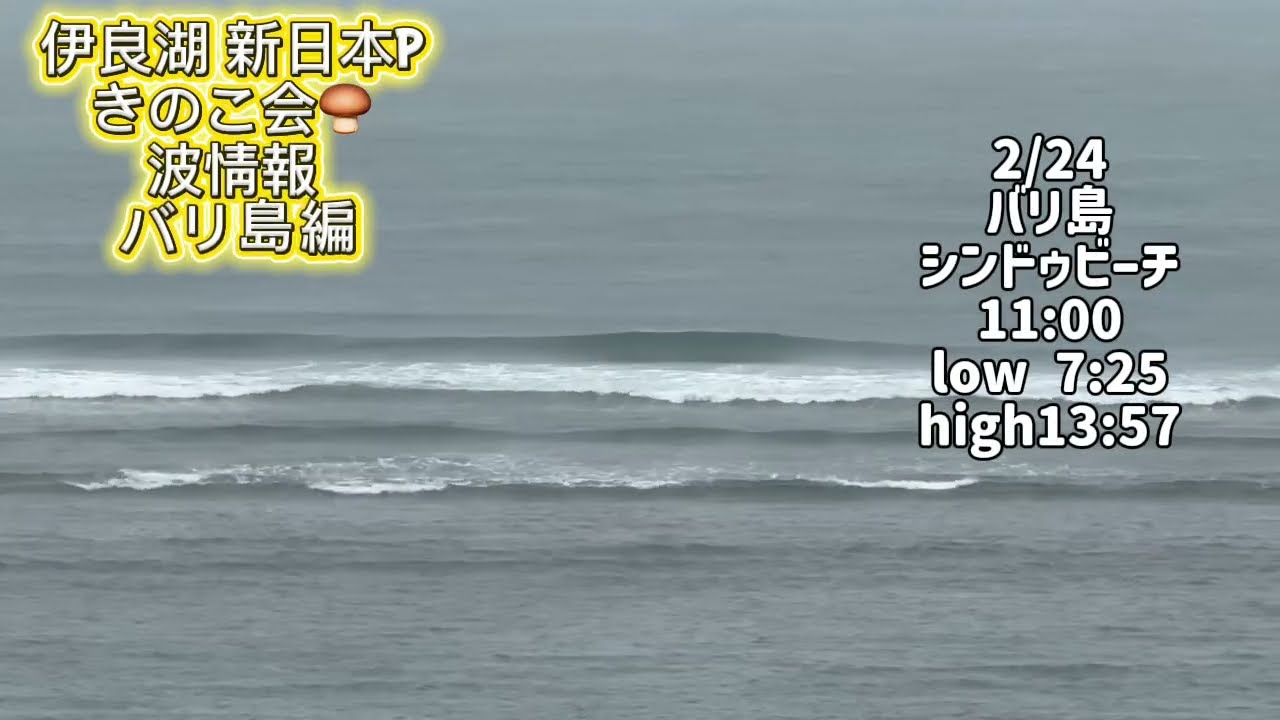 2/24 バリ島シンドゥビーチP【伊良湖波情報トリップ編】2026年
