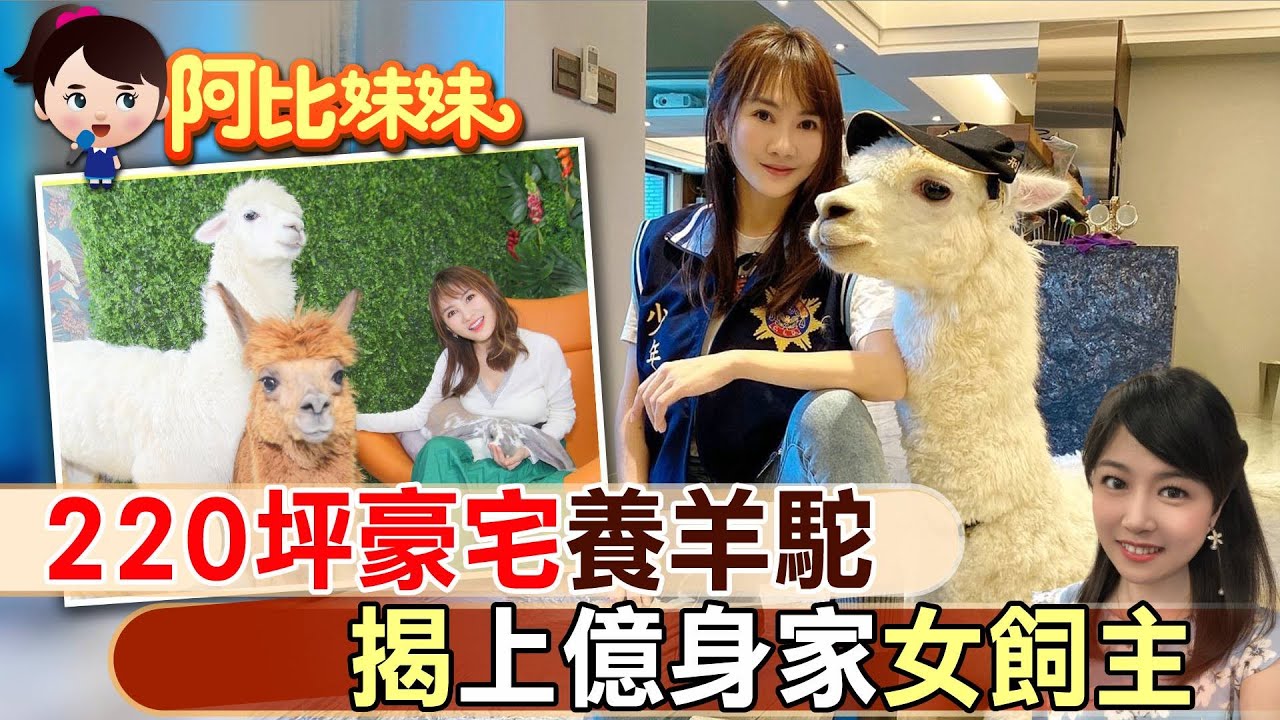 220坪豪宅養羊駝！揭億萬身家女飼主 18歲負債千萬靠這翻身!【#阿比妹妹】@台灣大搜索CtiCSI