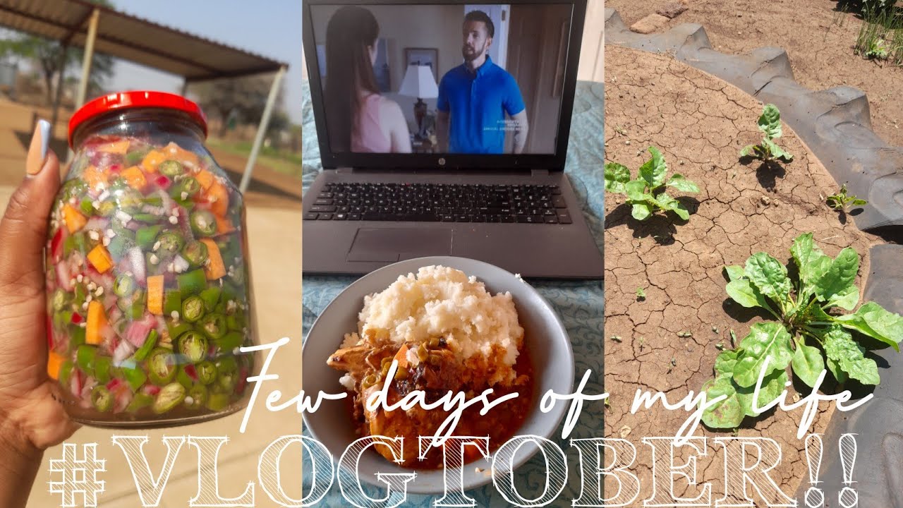VLOGTOBER EP3:SPEND THE DAY WITH ME!|MAKING CHILLIES,COOKING,GARDENING &MORE|SOUTH AFRICAN YOUTUBER🤎