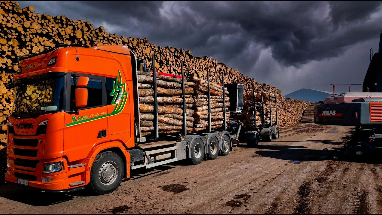 Must be the worst birch pulpwood loading ever