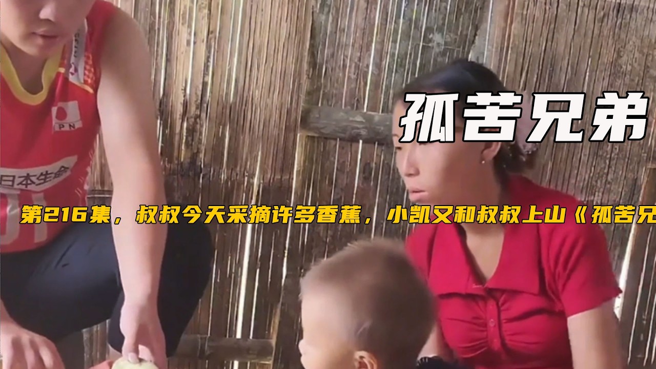 第216集，叔叔今天采摘許多香蕉，小凱又和叔叔上山《孤苦兄弟》