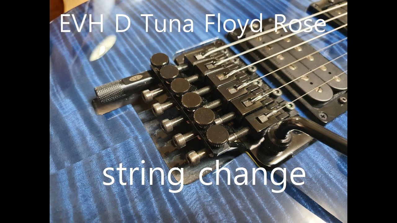 (No Talk) EVH D Tuna Floyd Rose Re-String / 디튜너 플로이드 로즈 줄교환