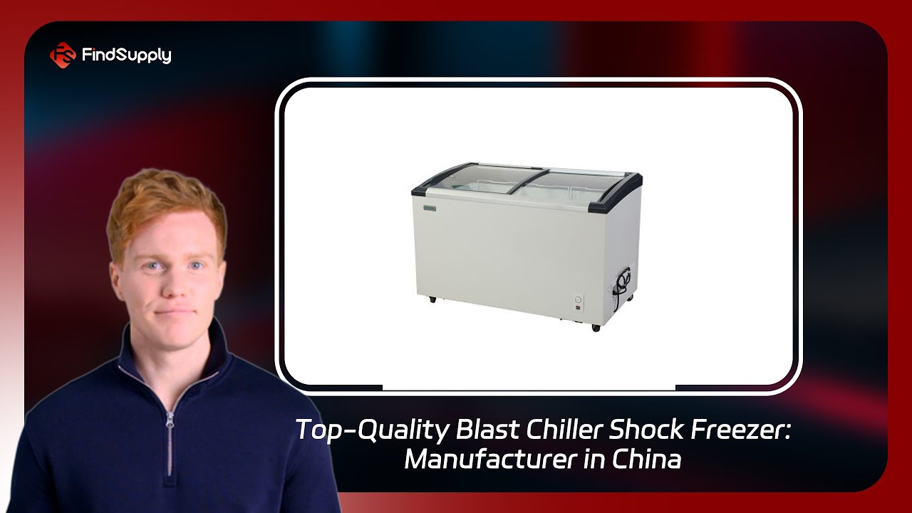 Top-Quality Blast Chiller Shock Freezer: Manufacturer in China