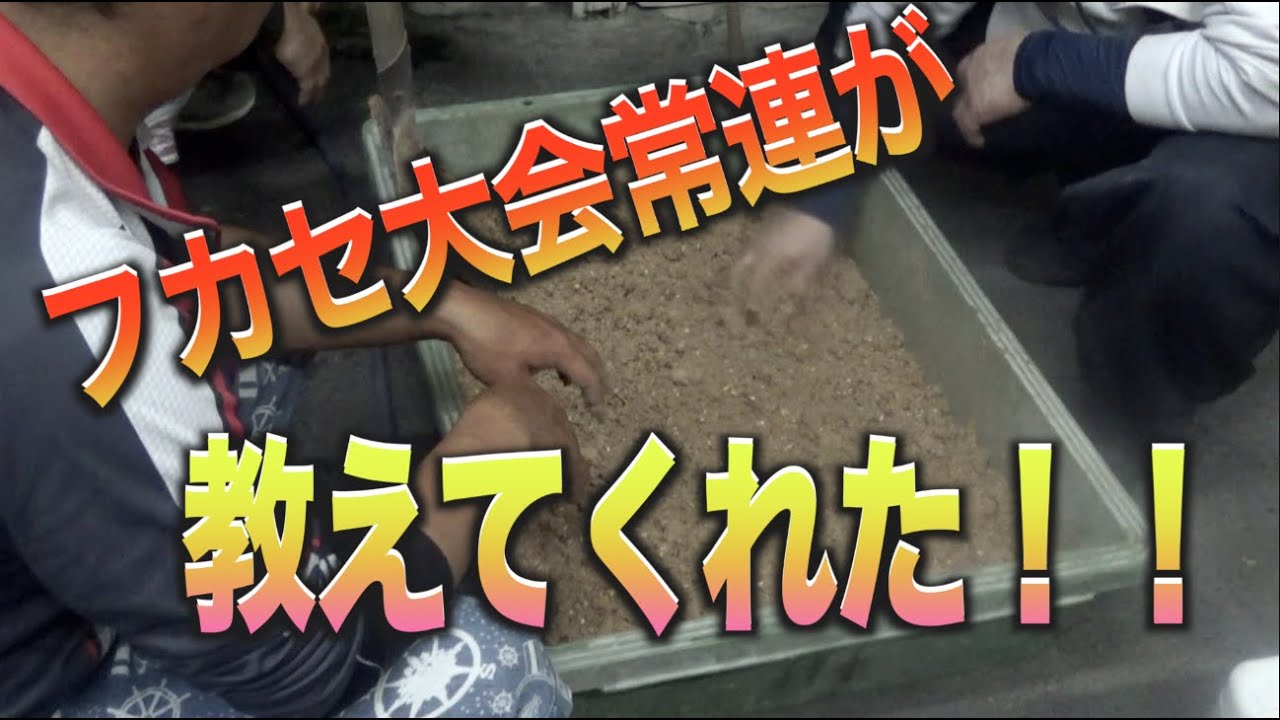 ≪保存版≫　フカセ大会上位の方に　マル秘コマセ作りを聞きました　　フカセ師必見‼️
