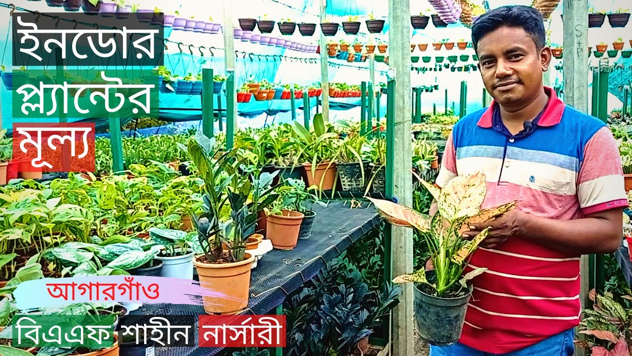 Indoor Plants Price In BAF Shaheen Nursery | ইনডোর প্ল্যান্টের মূল্য | Gardening Bangladesh
