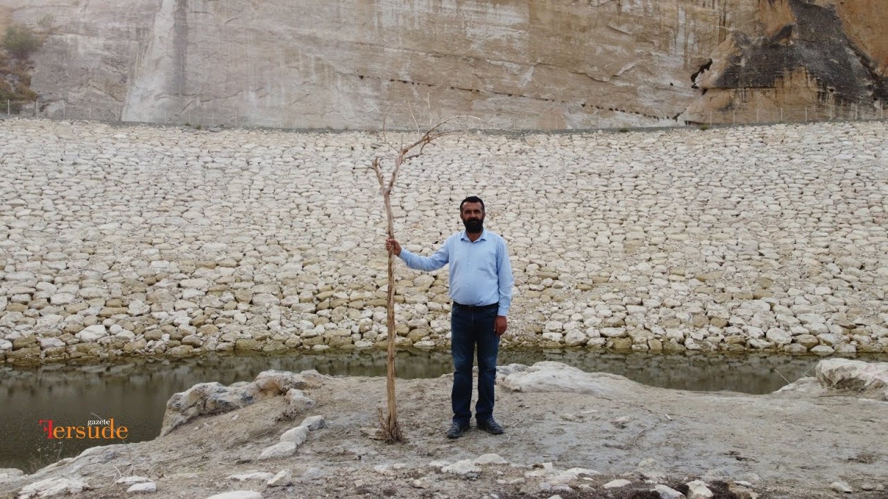 Hasankeyf'te bir kuru ağacın hikayesi