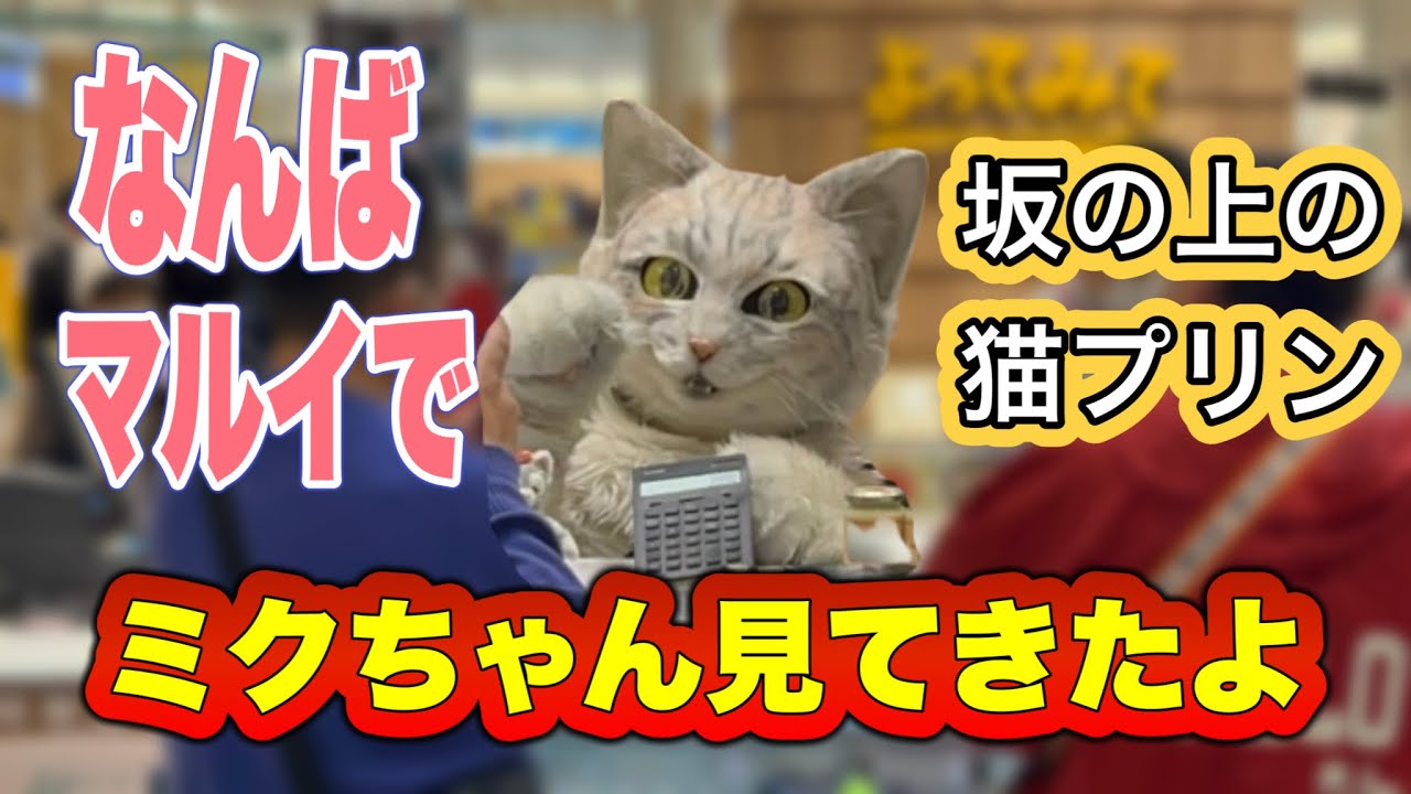 なんばマルイにアルバイト猫ミクちゃんを見に行きました。