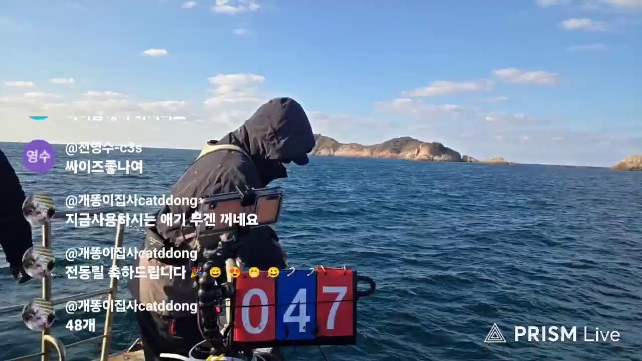 군산권 갑오징어 출조 _ 2025.11.14 (비응항 나드리호)