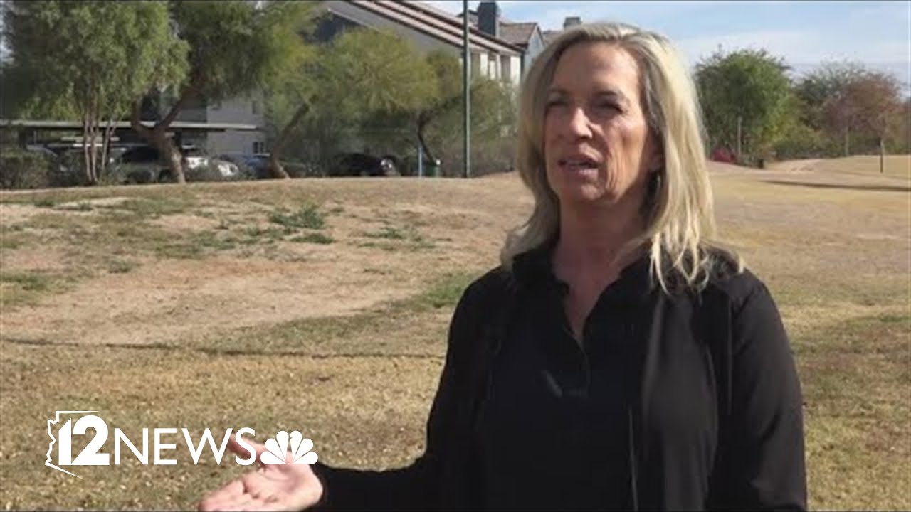 Arizona woman shares fraud warning after theft at grocery store