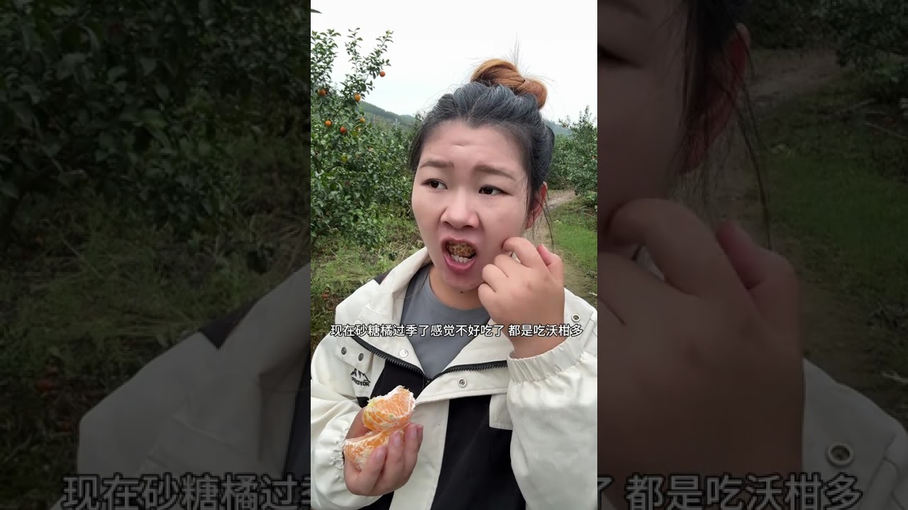 The daily life of a wife from another place in a rural area of Guangxi in 1998#Record real