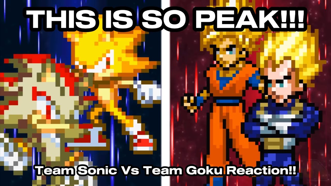 SONIC FAN REACTS TO Sonic & Shadow VS Goku & Vegeta!!