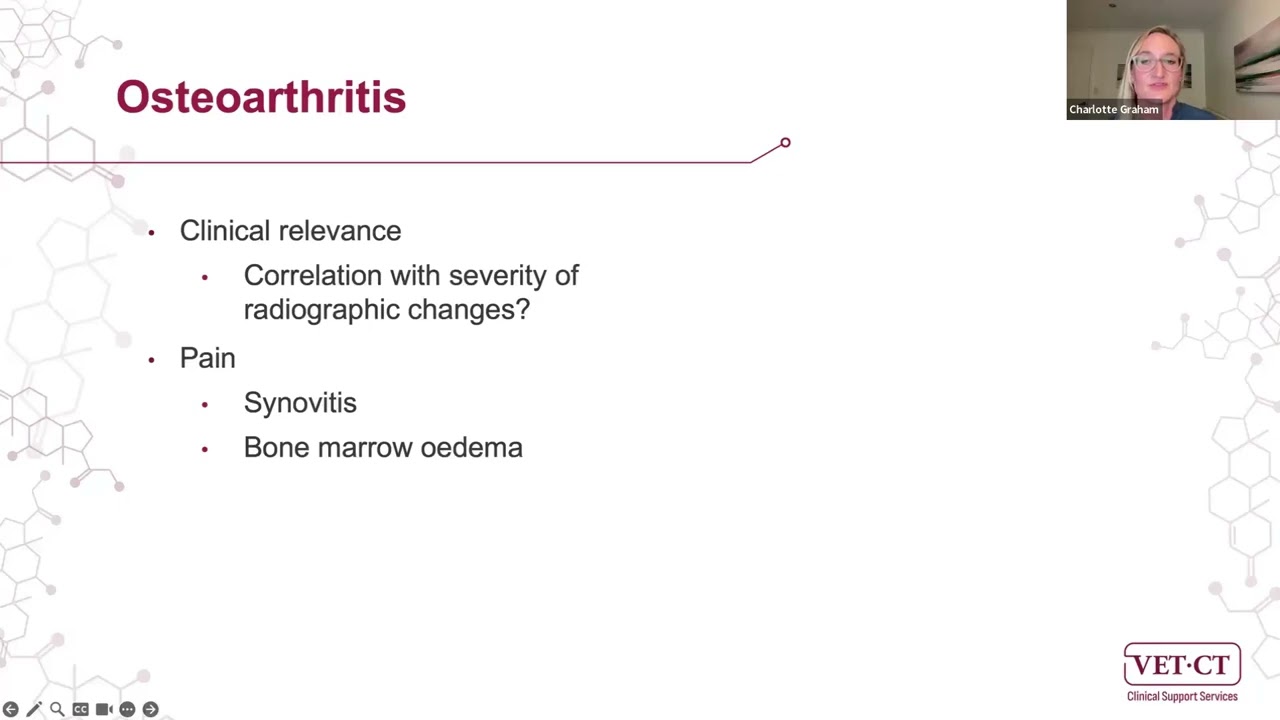 Equine Imaging Masterclass Webinar: Pinpointing problems in the equine proximal phalanx