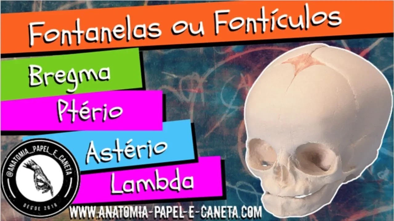 Fontanelas ou Fontículos - BREGMA - PTÉRIO - ASTÉRIO e LAMBDA
