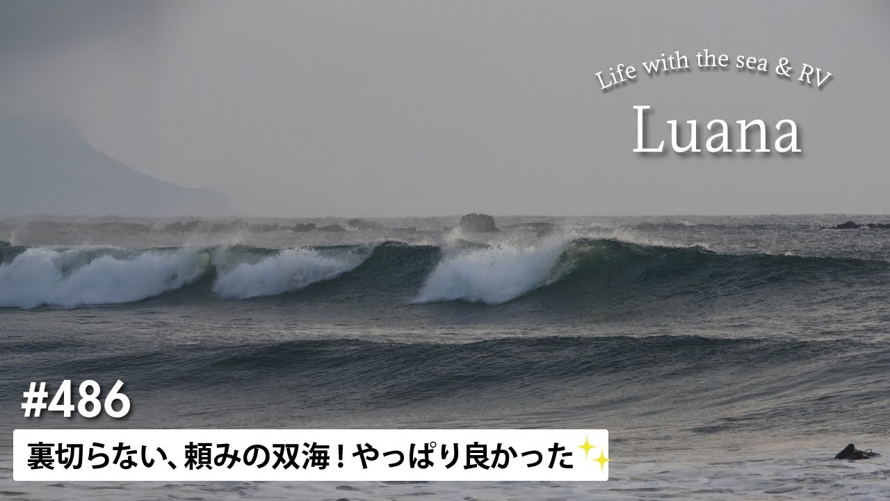Life with the sea&RV🦮#486 裏切らない、頼みの双海！やっぱり良かった✨