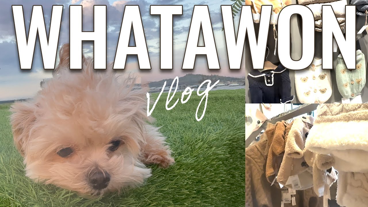 【大阪】犬連れの新聖地WHATAWON（ワタワン）散策🐶愛犬と過ごす冬の休日Vlog