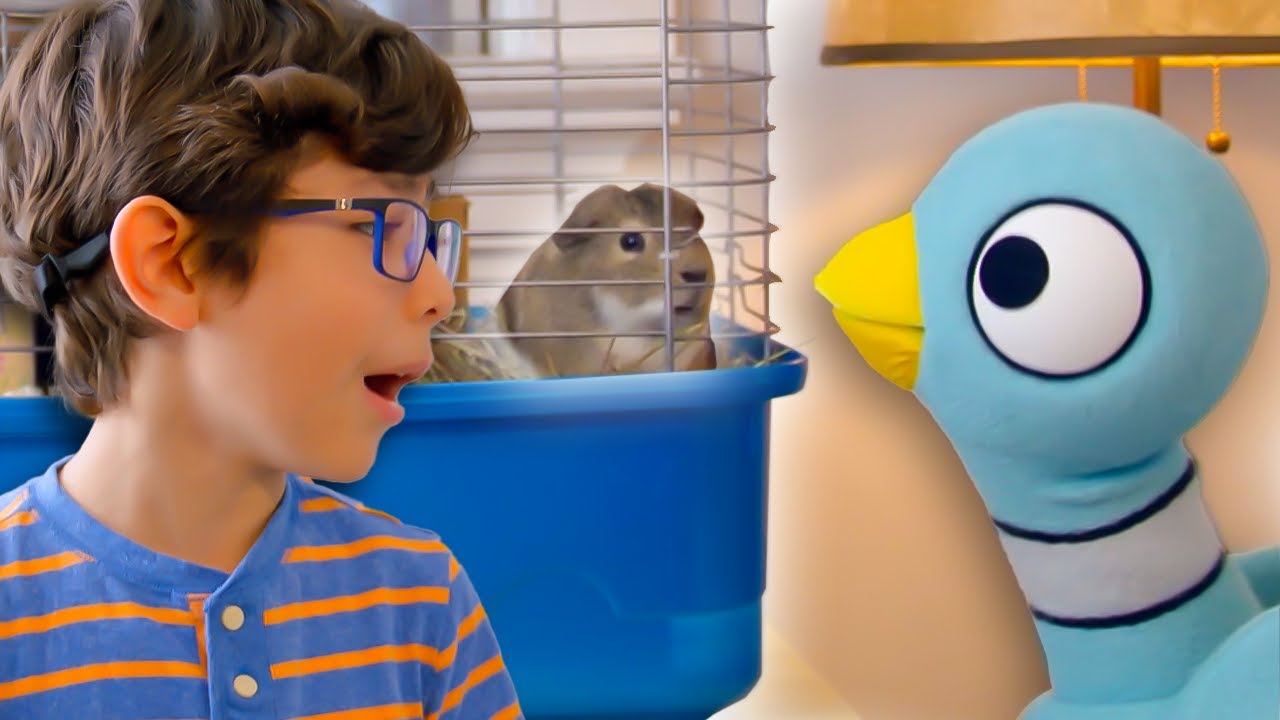 The Pigeon Learns How to Take Care of a Pet 🐹 | Mo Willems Workshop