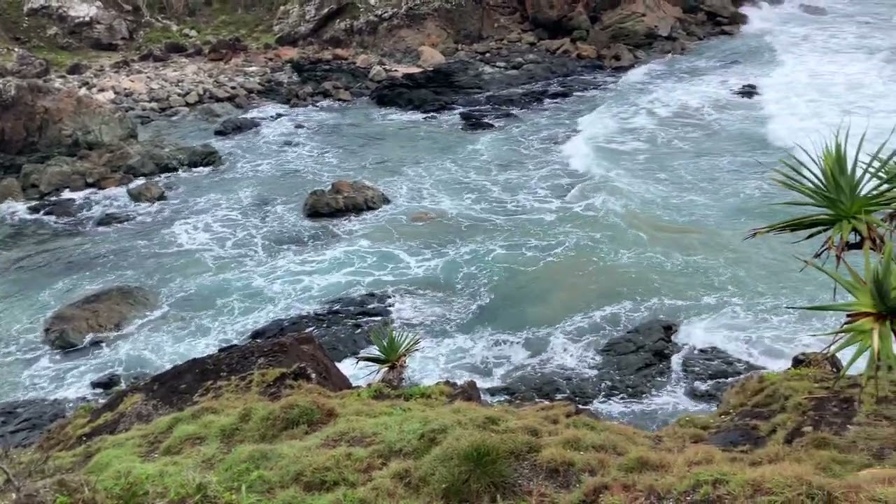 Good morning Port Macquarie 17 February 2026 (D)