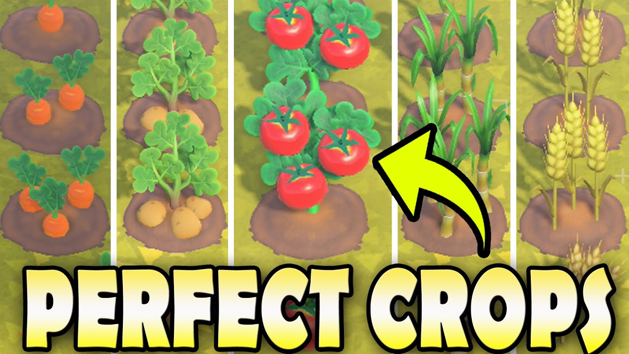 🥕 10 ФАКТОВ О ФЕРМЕРСТВЕ и как вырастить ИДЕАЛЬНЫЕ УРОЖАИ в Animal Crossing New Horizons!