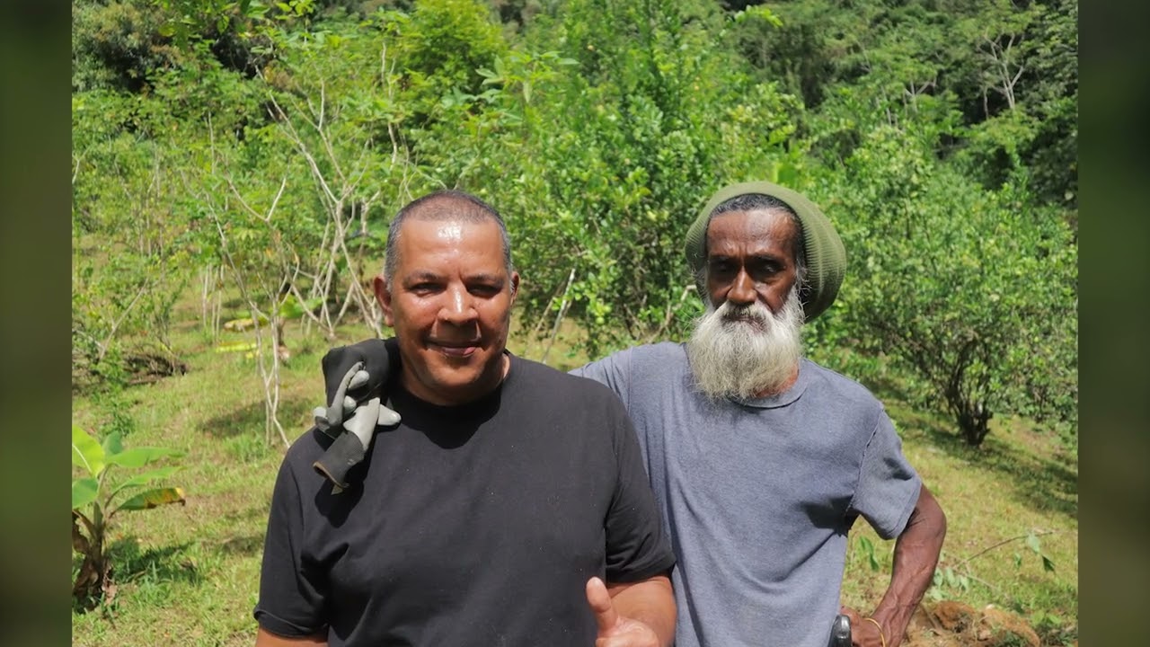 A thousand words... @lasanabaptiste @farmerharry @KimberlyBadloo