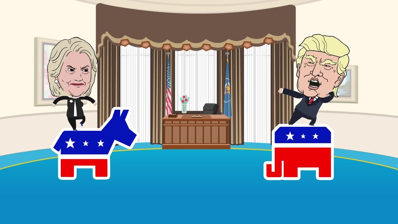 How does the US general presidential election process work?