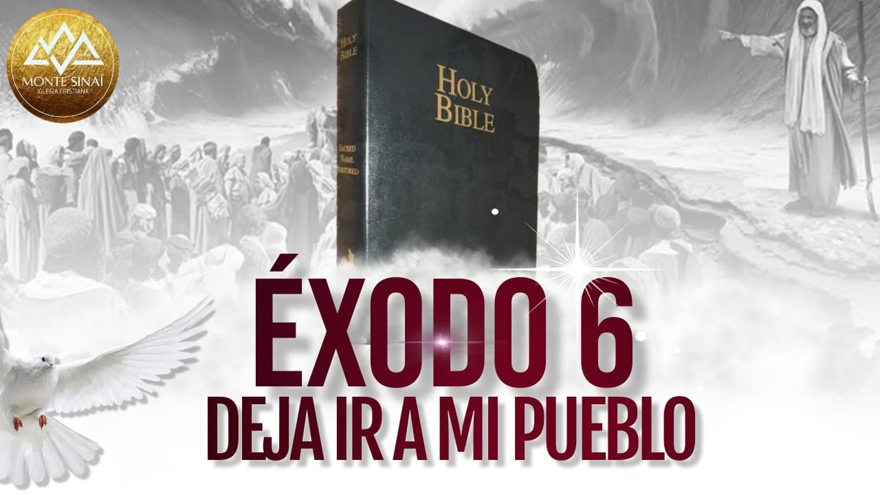 EXPLICACIÓN ÉXODO 6 #biblia