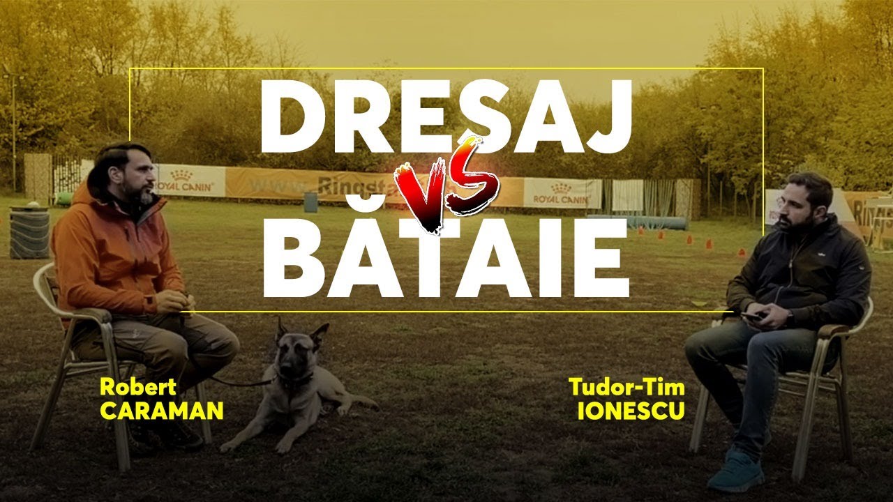 T. R. C. podcast 2 : Dresaj vs. bătaie la câini. Ce facem ?