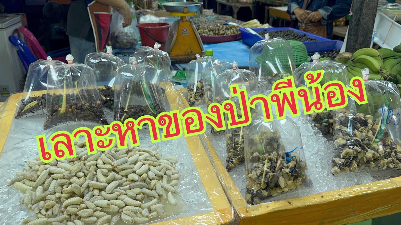 เราจะแวะตลาดท่าเดื่อมาดูกันเลยจะได้อะไรจ้า #อุ๋งอิ๋งเพชรบ้านแพง #สาวน้อยเพชรบ้านแพง ￼