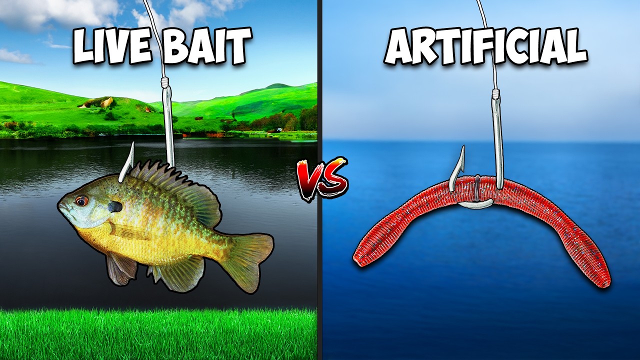 Livebait vs Artificial Fishing Challenge