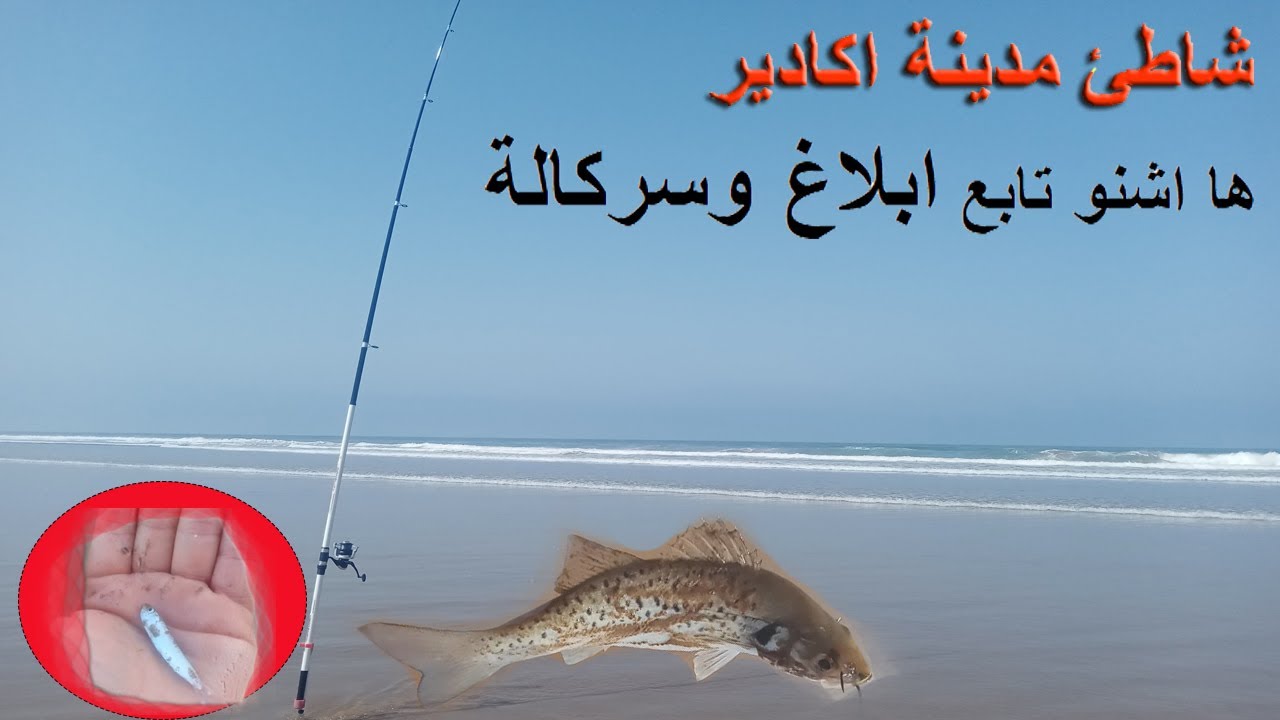 الصيد في شاطئ أكادير لقينا الطعمة ديال أبلاغ