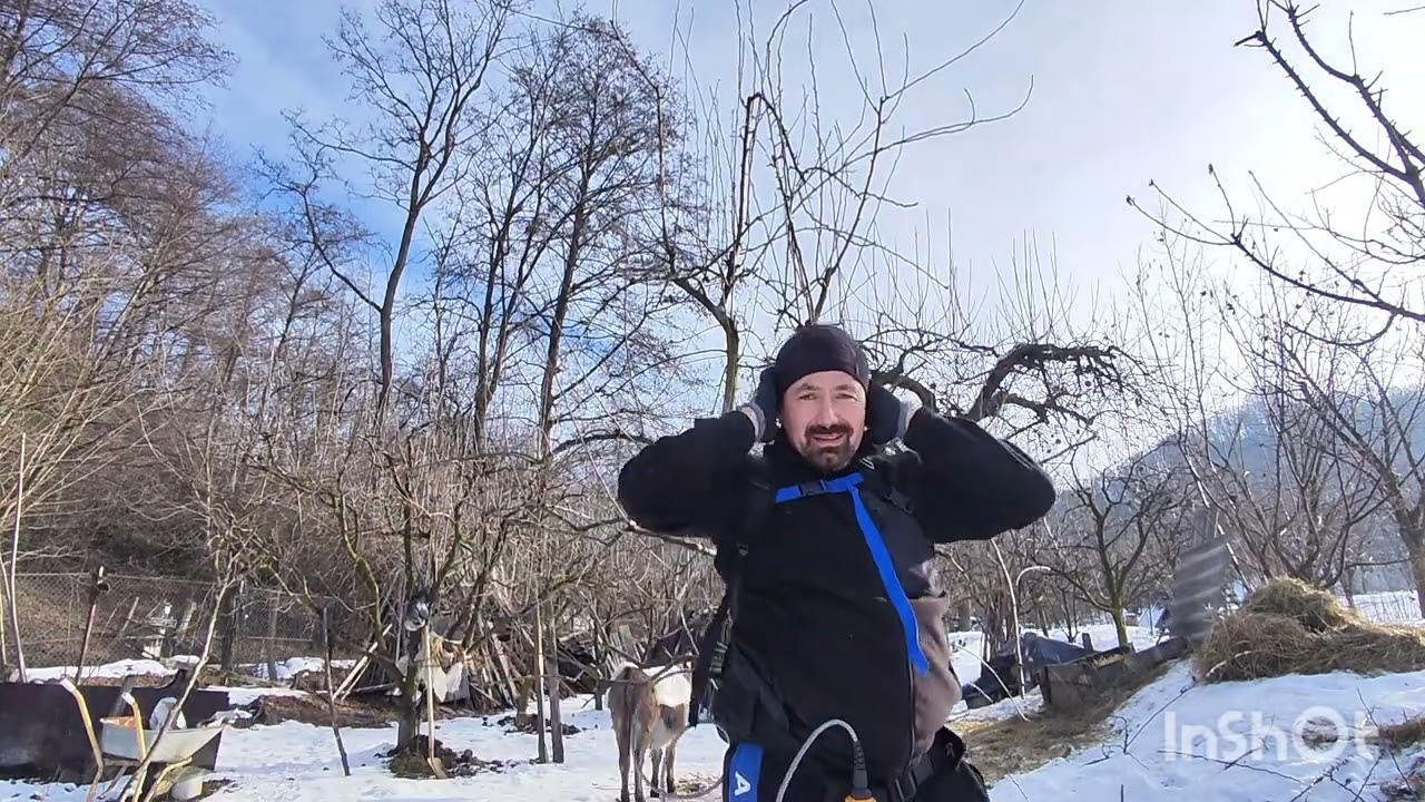 Curățarea soiului de păr Napoca ✂️🍐✅