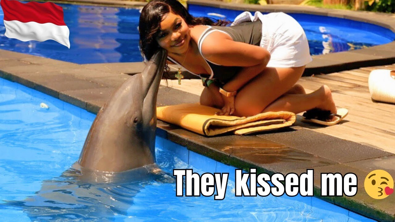 SWIMMING AND KISSING DOLPHINS FOR THE FIRST TIME!!