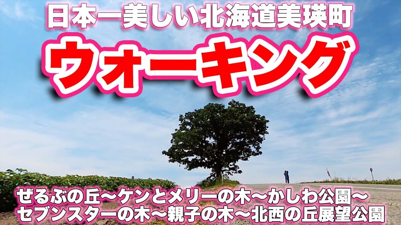 美瑛町/北海道【ウォーキング】ぜるぶの丘〜ケンとメリーの木〜かしわ公園〜セブンスターの木〜親子の木〜北西の丘展望公園【旅行vlog】上川郡,美瑛,無料,花畑,駐車場,北瑛神社,サイドカー,トレーラー