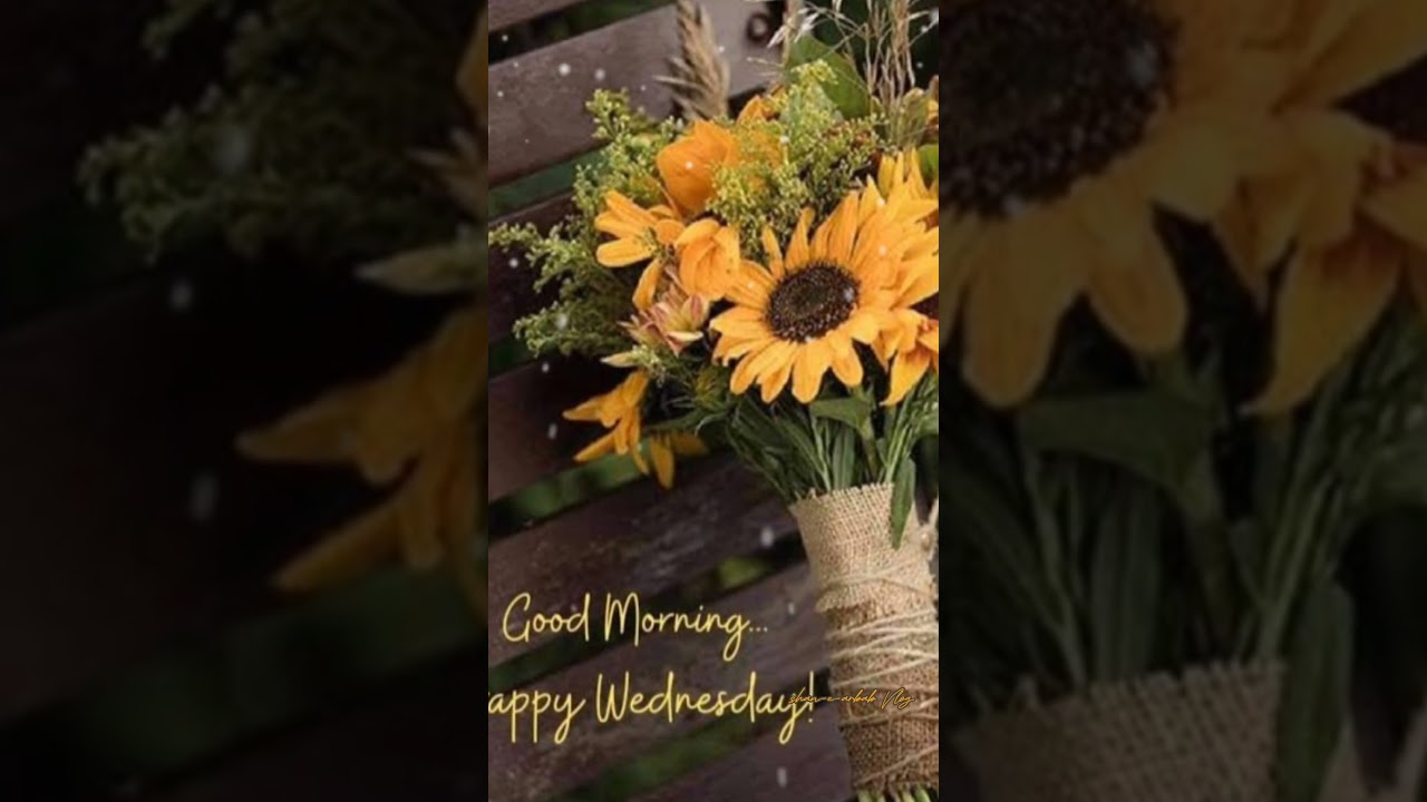 Good Morning #blessings #morning #viral #trending #wednesday