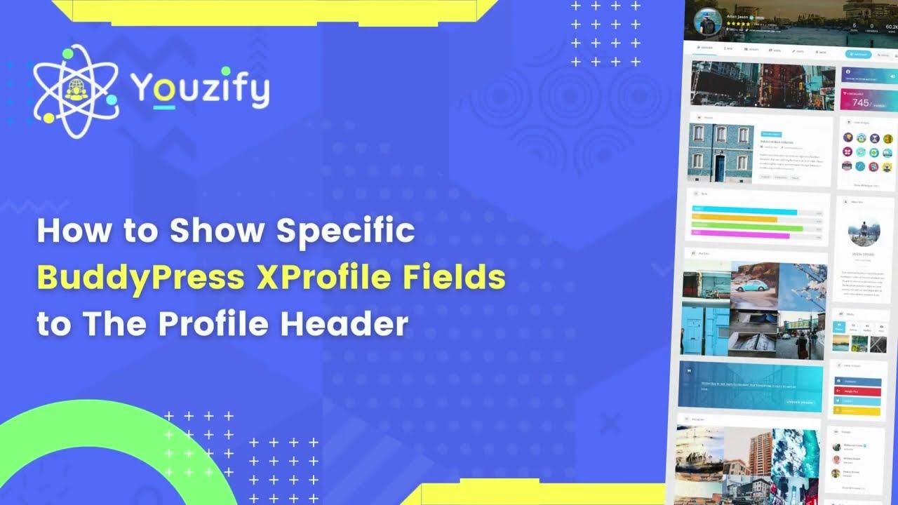 How to Show Specific BuddyPress Xprofile Fields Meta to the Profile Header