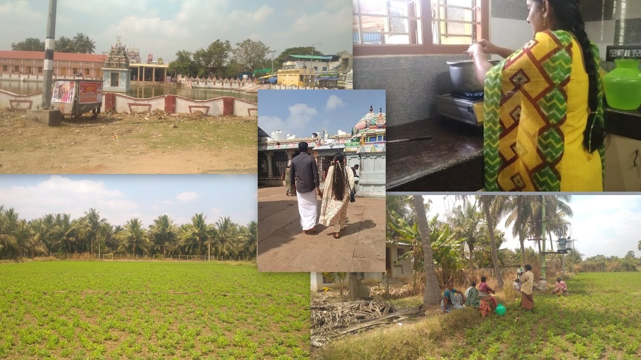 வயல் வேலை & கோவில் பயணம் | எங்கள் கிராம வாழ்க்கை #villagevlog  #dailyvlogtamil #kavilifestyle