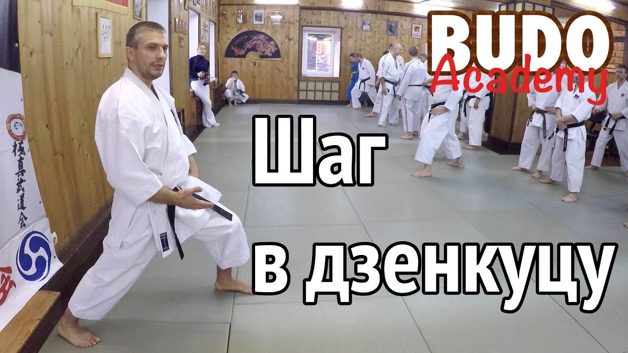 Шаг в дзенкуцу. Детальный разбор с Евгением Кульбанским