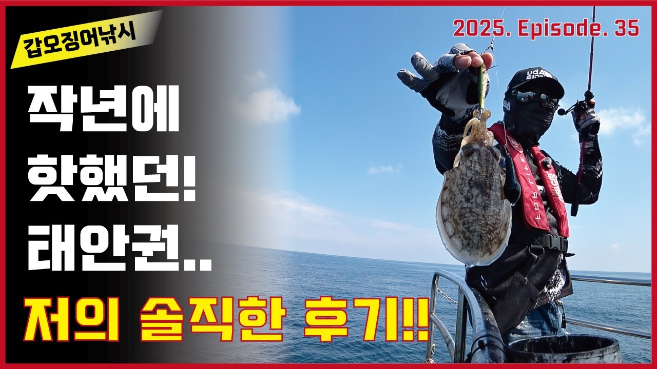 갑오징어낚시 - 작년에 핫했던! 태안권 소식입니다. (저의 솔직한 후기)