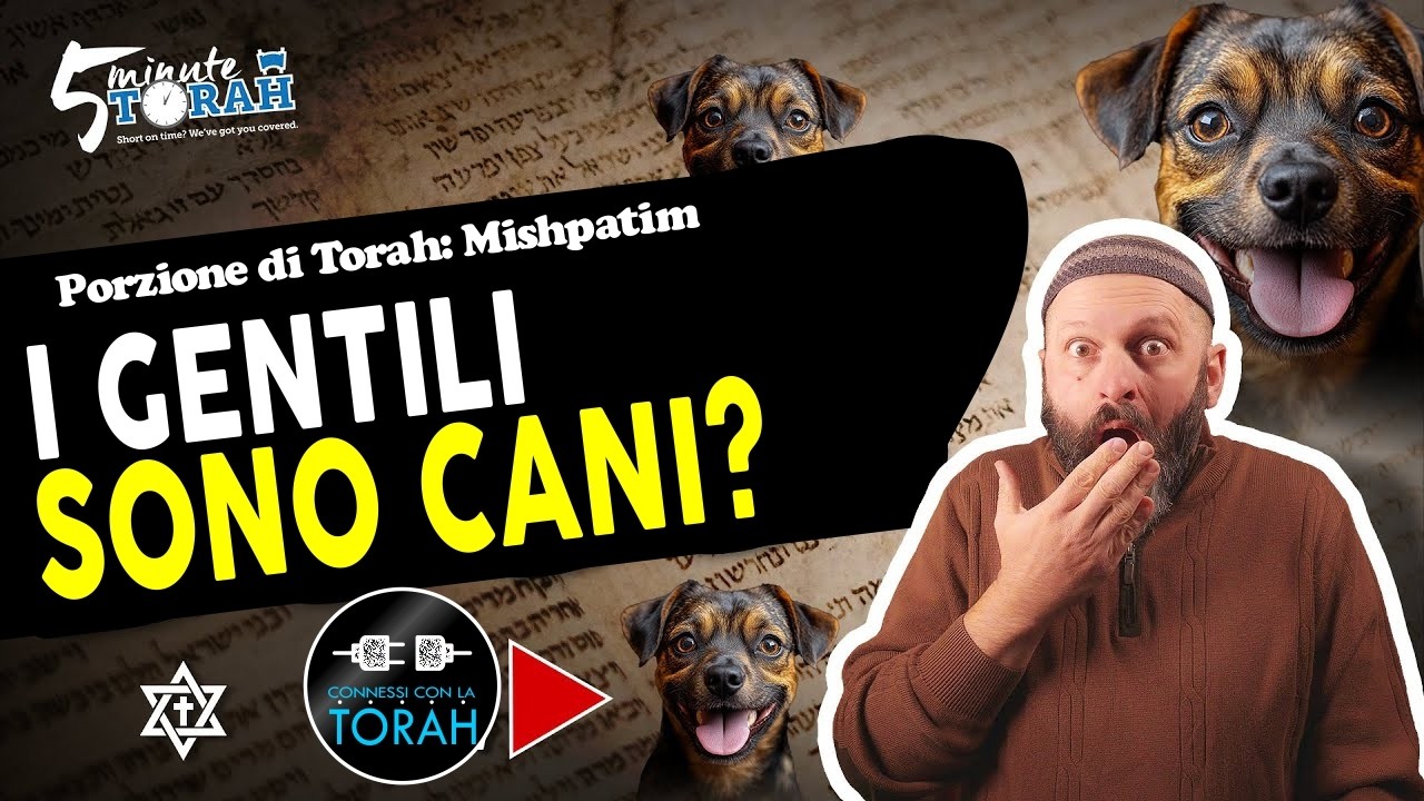 Mishpatim - 5 Minuti di Torah - Commento sulla porzione settimanale di Torah #torah #yeshua