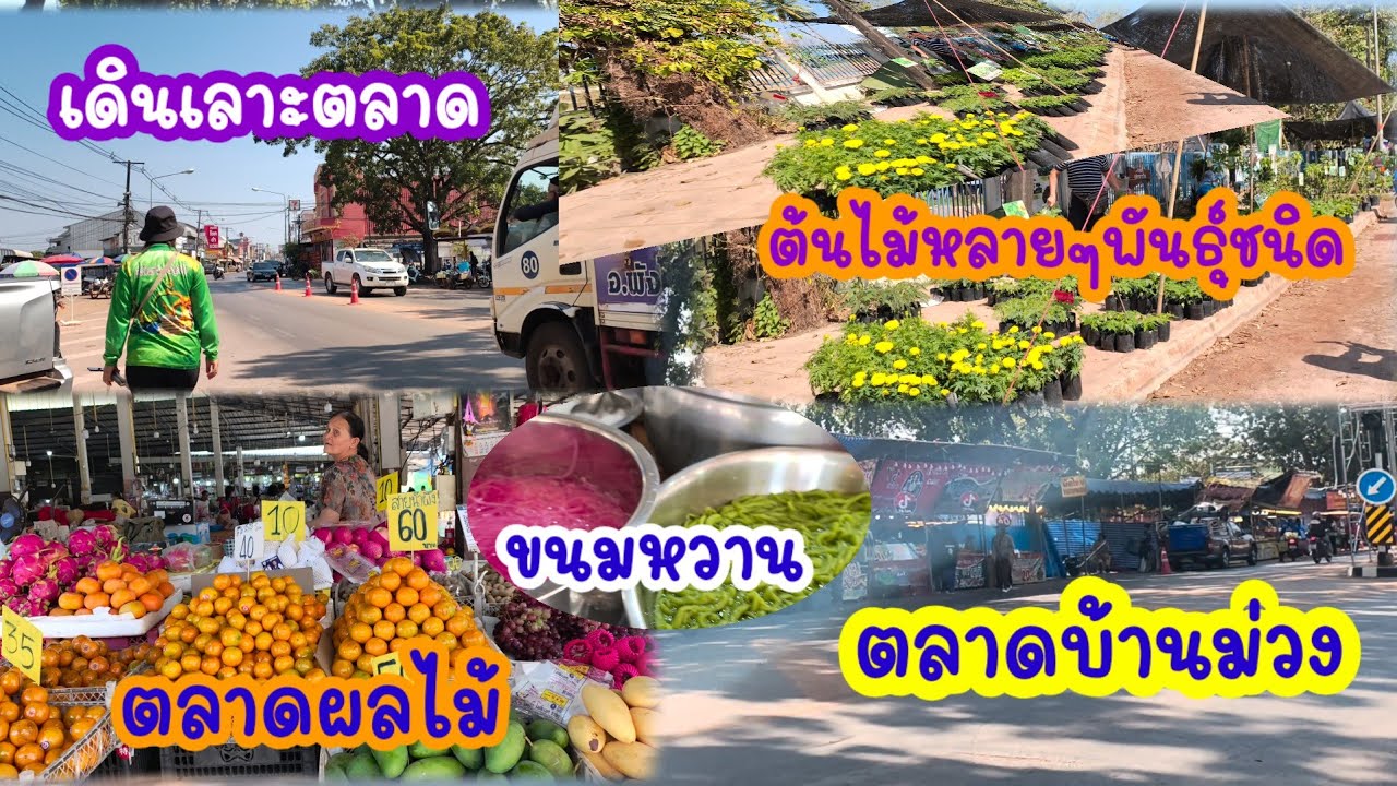 สว.มาจ่ายตลาดบ้านม่วง