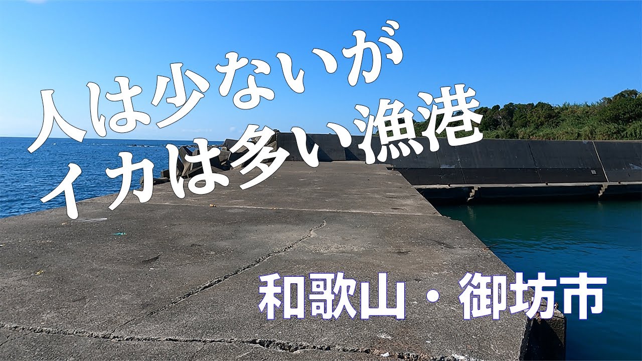 【釣り場動画#11】和歌山の穴場エギングスポット、加尾漁港・野島漁港（エギング・ヤエン）