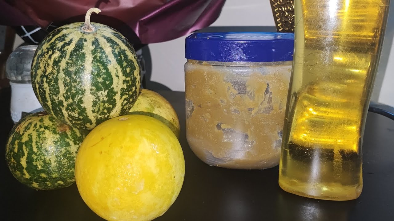 علاج الشوكة العظميه والام العظام بالحنضل  وعمل زيت الحنضل وكريم الحنضل