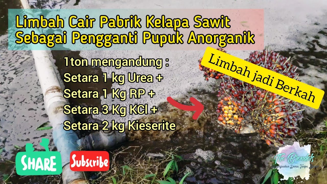 Penggunaan Limbah Cair sebagai Pengganti Pupuk Anorganik di Perkebunan Kelapa Sawit