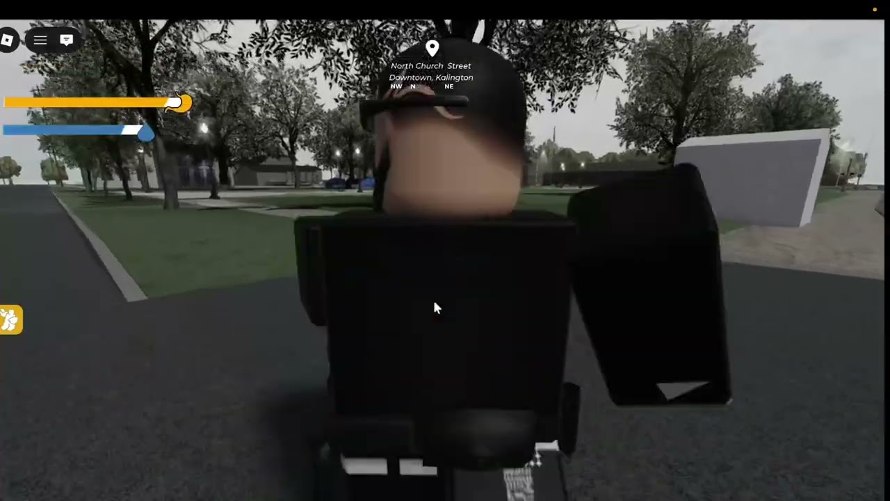 Mustang Leads Deputies on Pursuit Through Oakwood