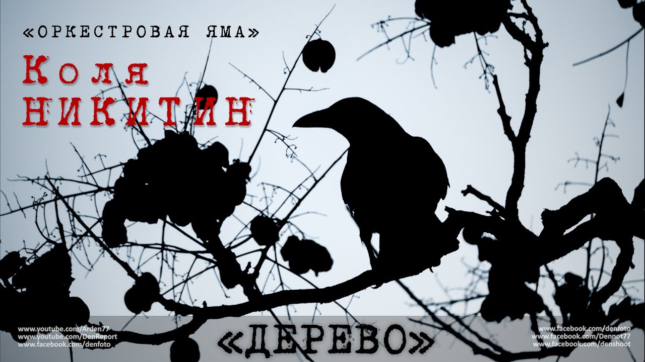 Коля Никитин «Дерево» (группа «Оркестровая Яма»)