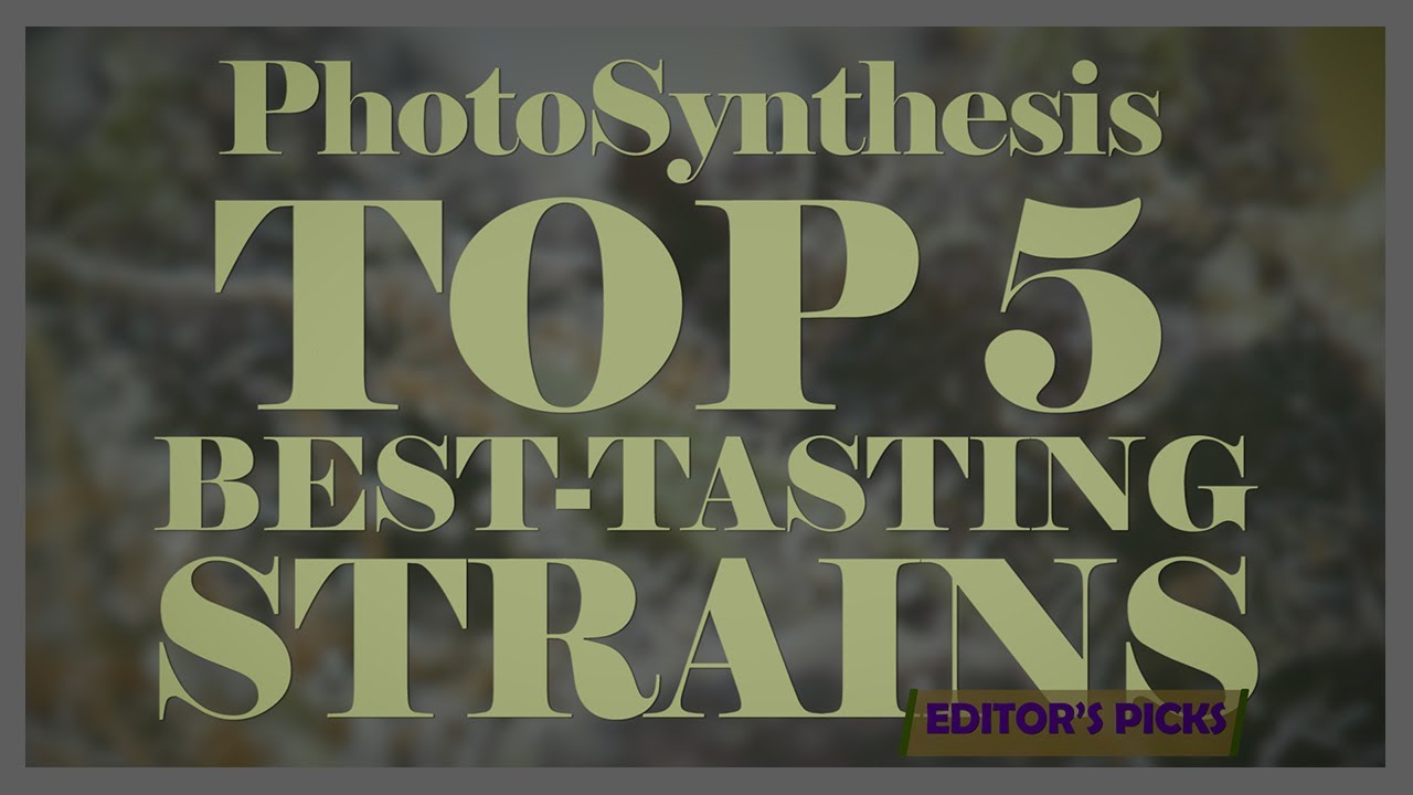 TOP 5 BEST-TASTING CANNABIS STRAINS